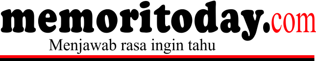 logo satuwebs